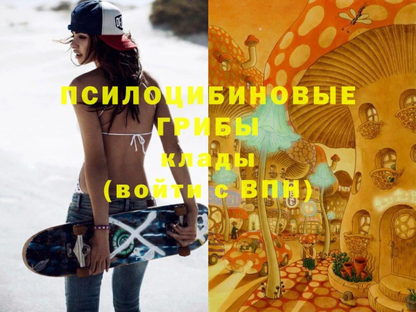 гидропоника Абаза
