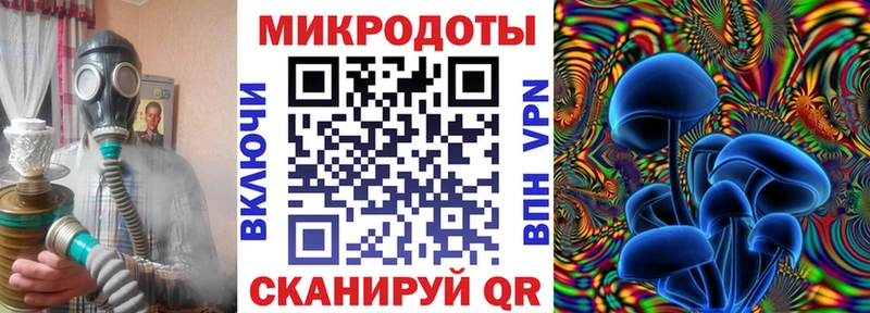 Галлюциногенные грибы Psilocybine cubensis  закладка  Сысерть 